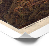 北太平洋イエローストーン1895年 ポスター (角)