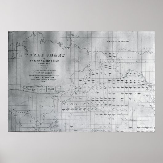 北太平洋鯨図1851年 ポスター (正面)