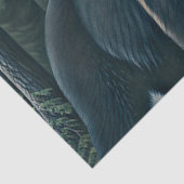 北威厳のある林の黒熊 薄葉紙 (詳細)