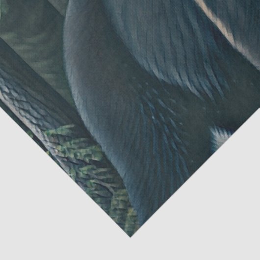 北威厳のある林の黒熊 薄葉紙 (詳細)