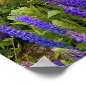 北岸のルピネの野草の畑 ポスター (角)