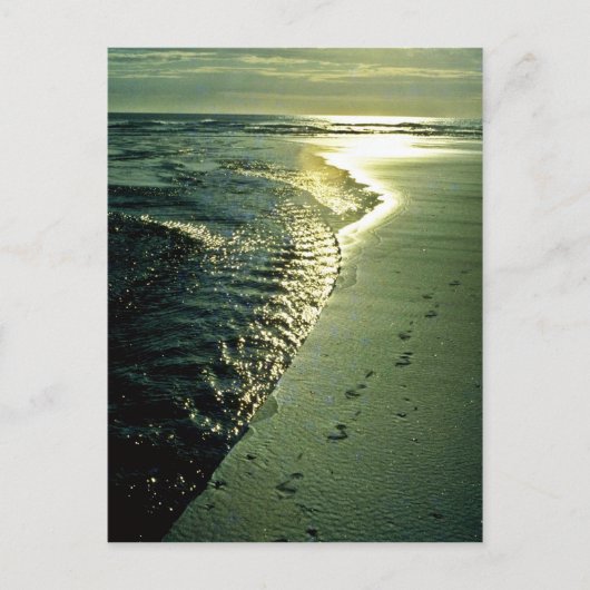 北島、ピハ、砂の足跡 ポストカード (正面)