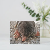 北広足モグラ ポストカード (スタンド正面)