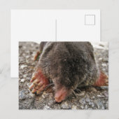 北広足モグラ ポストカード (正面/裏面)