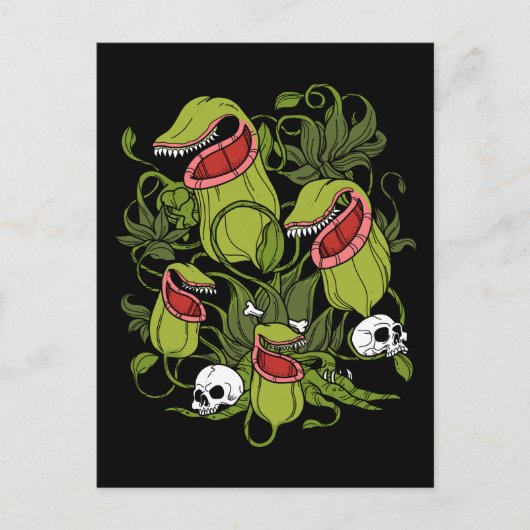 北投のサラセニア食虫植物 ポストカード (正面)