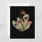 北投手肉食植物サラセニア ポストカード (正面/裏面)