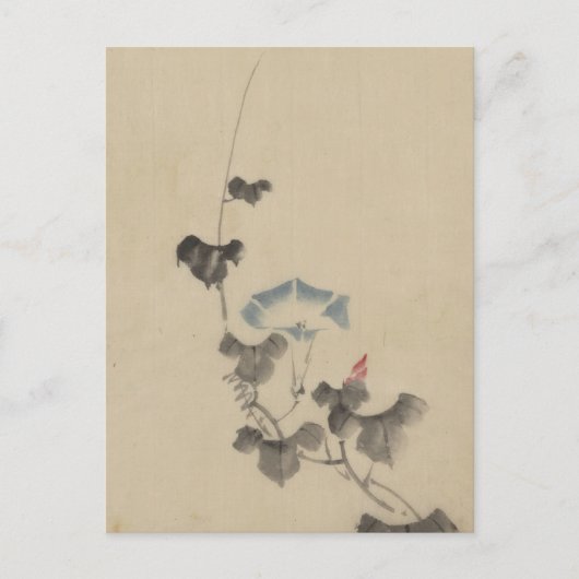 北斎の朝顔の青いつる植物 ポストカード (正面)