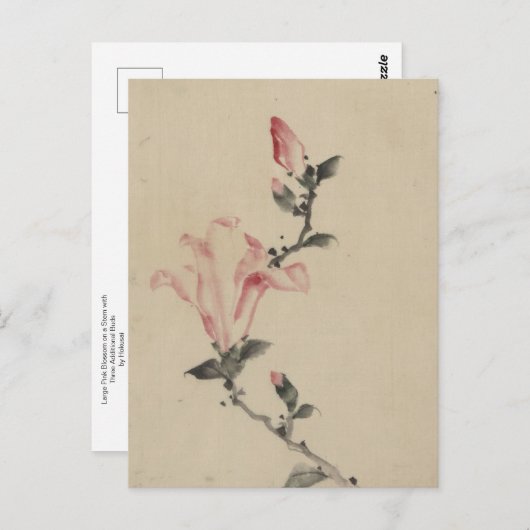 北斎の茎の大きなピンクの花 ポストカード (正面/裏面)