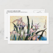 北斎杜若ときりぎりす,北斎アイリスとグラスパー ポストカード (正面/裏面)