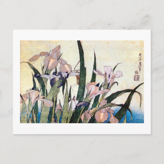 北斎杜若ときりぎりす,北斎アイリスとグラスパー ポストカード (正面)