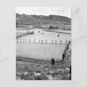 北朝鮮の囚人_戦争画像 ポストカード