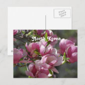 北朝鮮マグノリア ポストカード (正面/裏面)