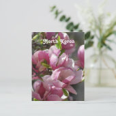 北朝鮮マグノリア ポストカード (スタンド正面)