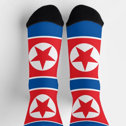 北朝鮮国旗 ソックス (上部)