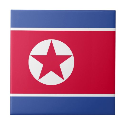 北朝鮮国旗 タイル (正面)