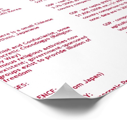 北朝鮮 ポスター (角)