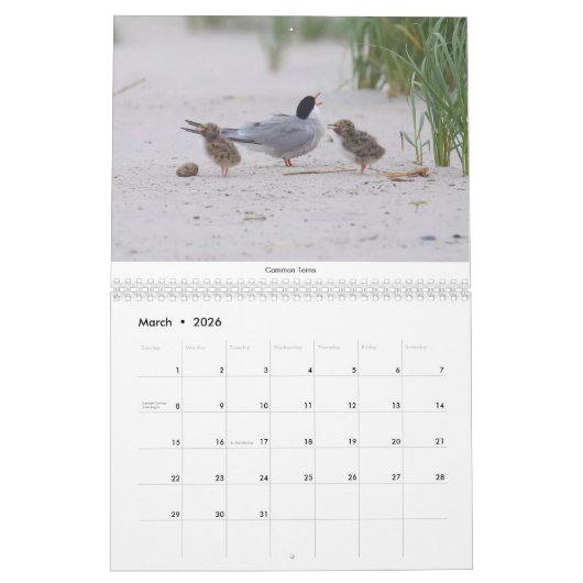 北東の鳥 カレンダー (3月 2026)