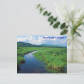 北東キングダムバーモントビクトリーボグ ポストカード (スタンド正面)