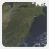 北東州の紅葉統一された スクエアシール (正面)