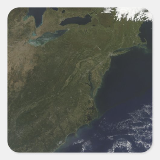 北東州の紅葉統一された スクエアシール (正面)