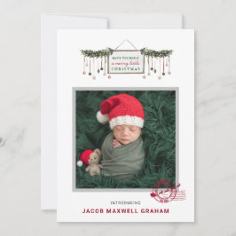 北極からの特別配送 | クリスマス出産報告