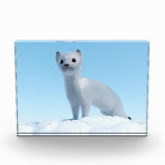 北極のイタチチャーム フォトブロック (正面)