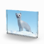 北極のイタチチャーム フォトブロック (右)