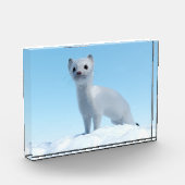北極のイタチチャーム フォトブロック (左)