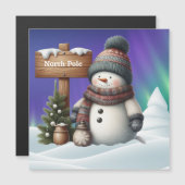 北極のキュートな雪だるま オーロラ (正面/裏面)