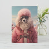 北極のプードル 招待状 (スタンド正面)