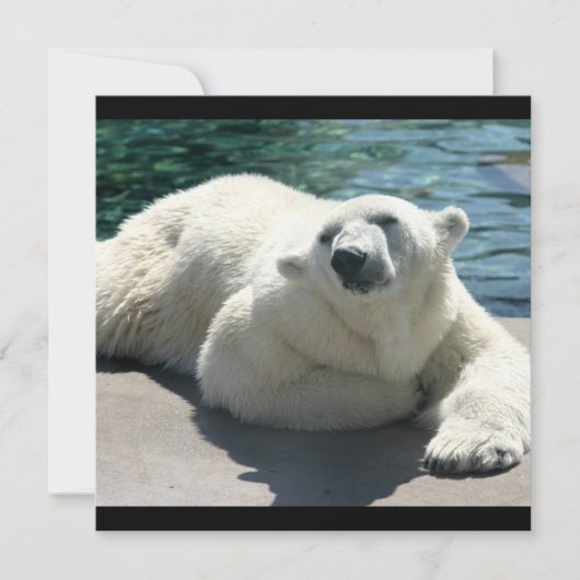 北極のホッキョクグマ 招待状 (正面)