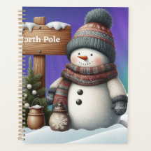 北極の可愛い雪だるまと北極の光