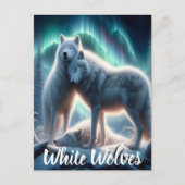 北極の守護者 ポストカード (正面)