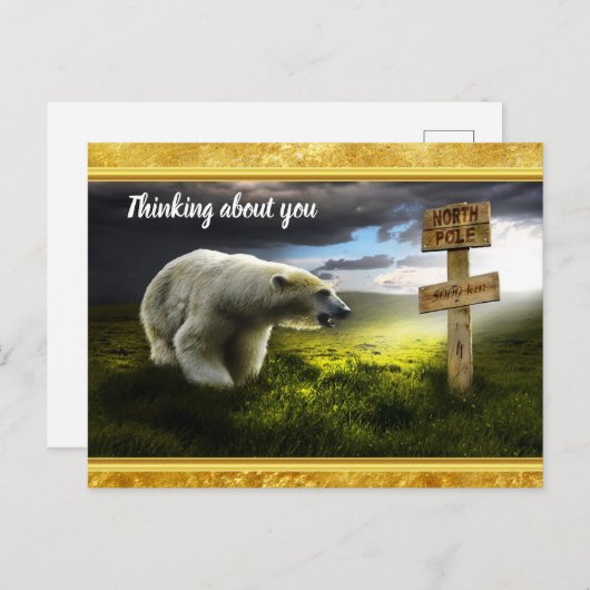 北極の木の看板を見る北極熊 ポストカード (正面/裏面)