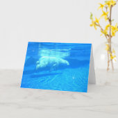 北極の水泳 カード (黄色い花)