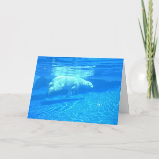 北極の水泳 カード (正面)
