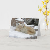 北極の演劇 カード (黄色い花)