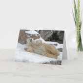 北極の演劇 カード (正面)