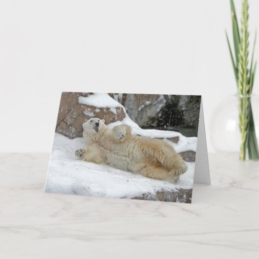 北極の演劇 カード (正面)