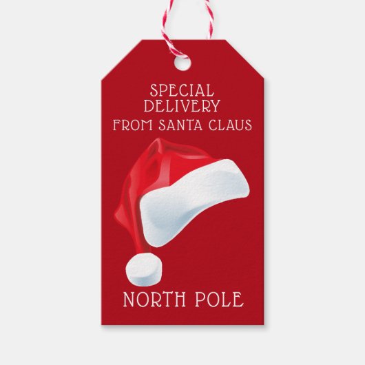 北極の特別配達サンタクリスマスギフト ギフトタグ (正面)