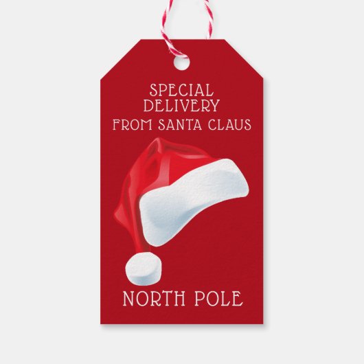 北極の特別配達サンタクリスマスギフト ギフトタグ (裏面)
