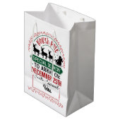 北極の特別配達 ミディアムペーパーバッグ (正面アングル)