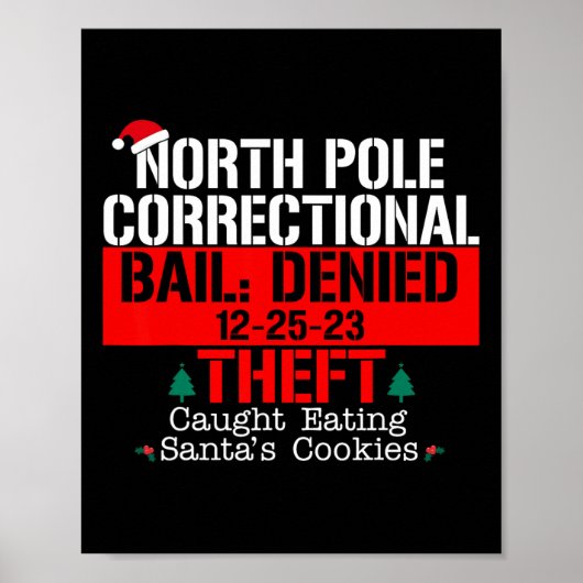 北極の矯正保釈盗難を否定Eキャッチ ポスター (正面)