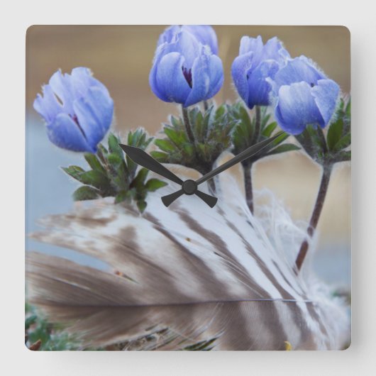 北極の野生の花、アラスカ、シワード半島 スクエア壁時計 (正面)