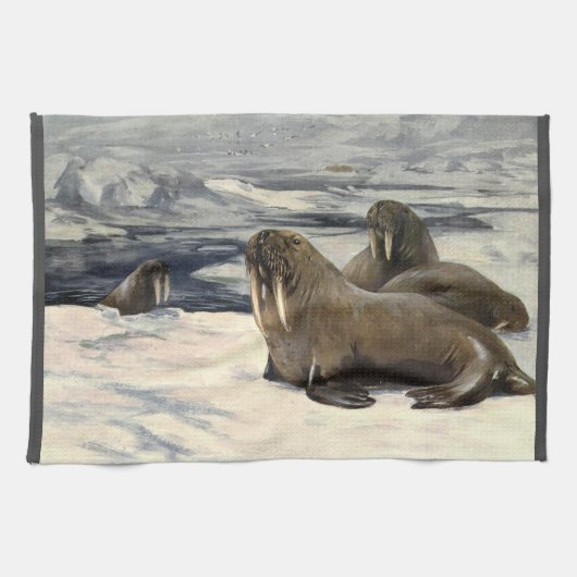 北極の雪の中のセイウチ、ビンテージの海洋動物 キッチンタオル (横)
