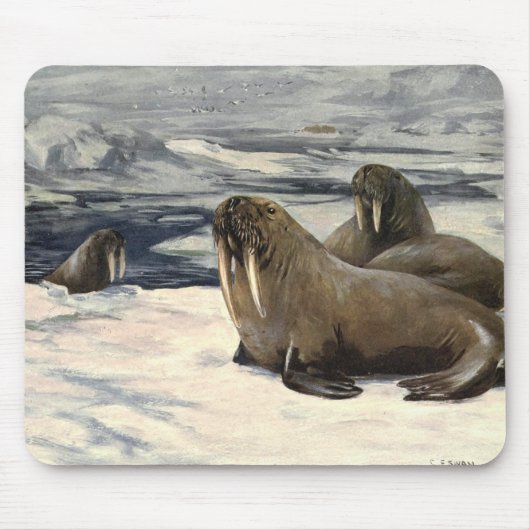北極の雪の中のセイウチ、ビンテージの海洋動物 マウスパッド (正面)