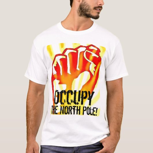 北極のTシャツを占めて下さい Tシャツ (正面)