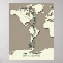 北極アジサシの回遊地図 – シンプルなヴィンテージスタイル