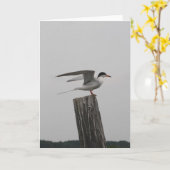 北極アジサシの挨拶状 カード (黄色い花)