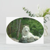 北極ウルフ招待状 招待状 (スタンド正面)